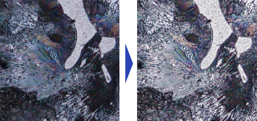 無論是暗視場影像還是DIC影像，“HDR”都可以一鍵完成清晰觀察。